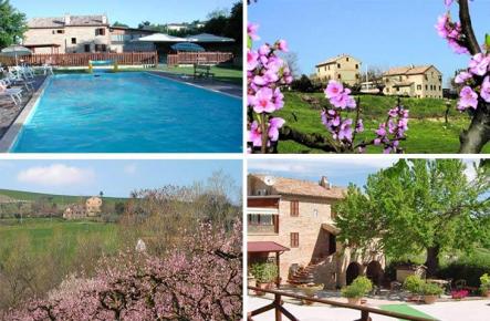 Agriturismo Vecchio Gelso i Le Marche