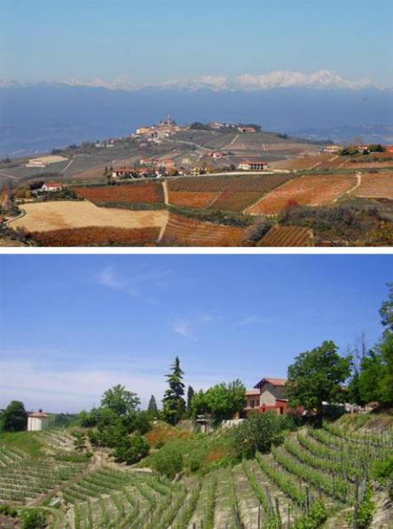 �G�rd Cascina Sant&rsquo;Eufemia i Sineo, Piemonte