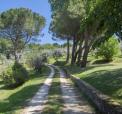 la_licina-4.jpg