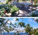 Hyra hus p Ponza