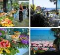 Hotel Caravelle i Dianio Marina, Liguriska rivieran 
�